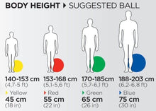 Load image into Gallery viewer, TheraBand® Pro-Series SCP Exercise Ball