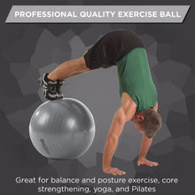 Load image into Gallery viewer, TheraBand® Pro-Series SCP Exercise Ball